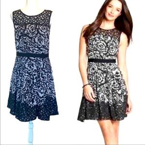 🔴SOLD🔴 Ann Taylor Pleated Lace Dress